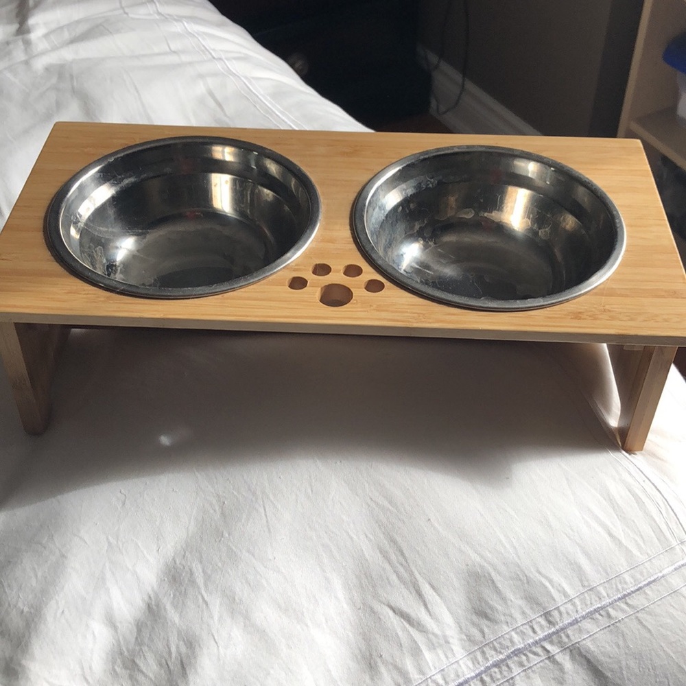 Cat/ small dog food bowl